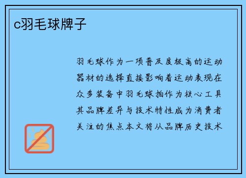 c羽毛球牌子