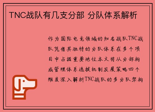 TNC战队有几支分部 分队体系解析